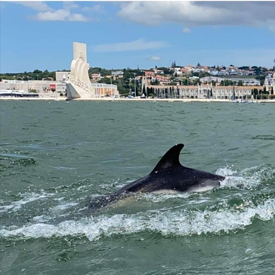 Tejo House River Lisbon アルマダ エクステリア 写真